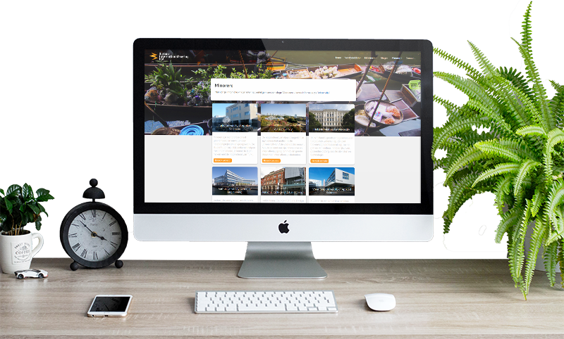Website